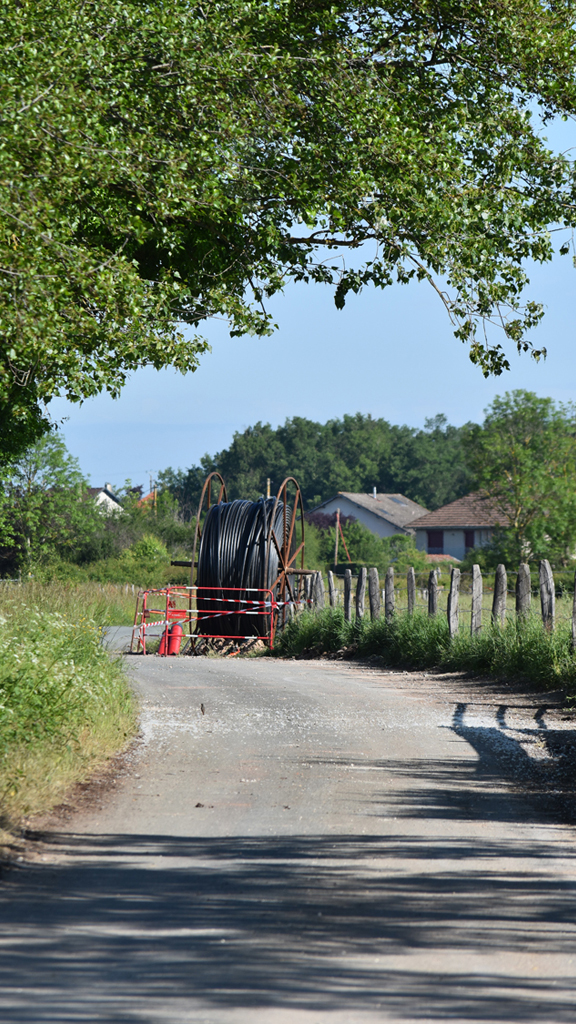 2026_05_08_trotteloup_dsc_0618.jpg