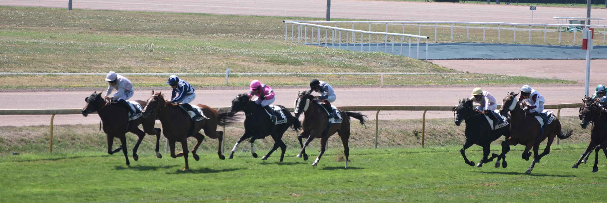 Prix hippique du 14 aout