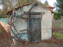 cabane_de_vigne_trotteloup_2_hd.jpg